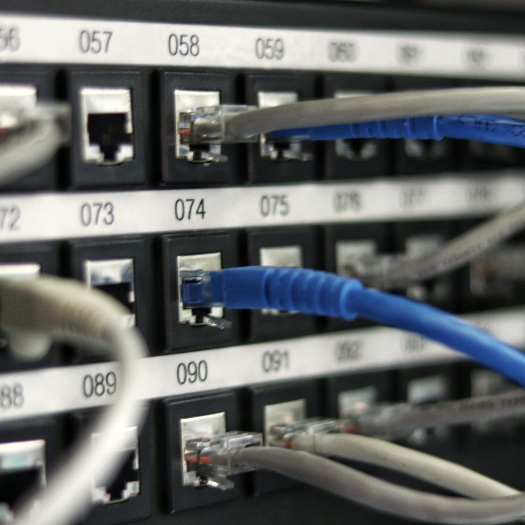 Various CAT5 cables in grey and blue ported into network switches