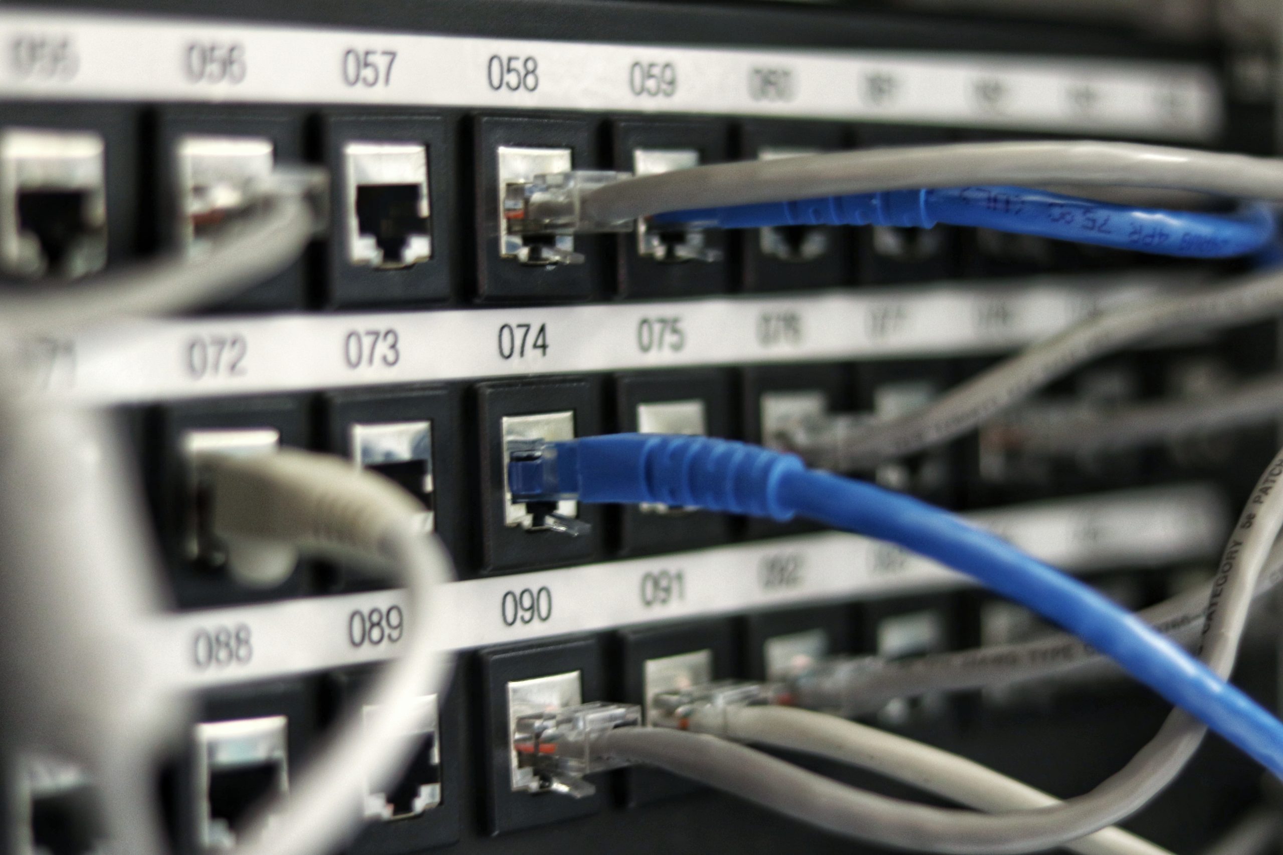 Various CAT5 cables in grey and blue ported into network switches